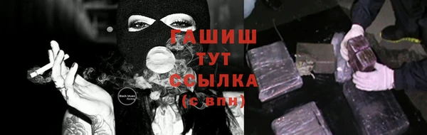 прущие грибы Карпинск