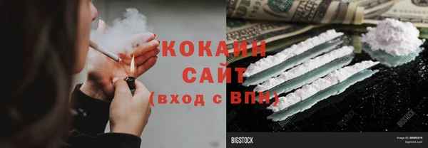 прущие грибы Карпинск