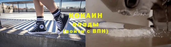 прущие грибы Карпинск