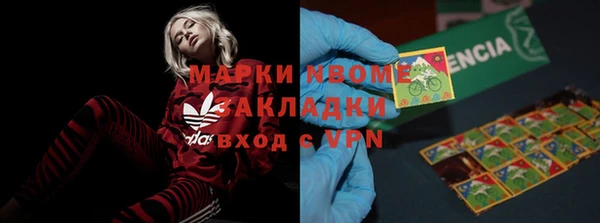 прущие грибы Карпинск